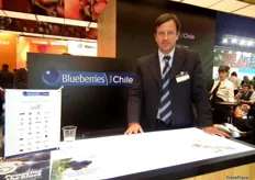 Andrés Armstrong, coordinador general del Chilean Blueberry Committee