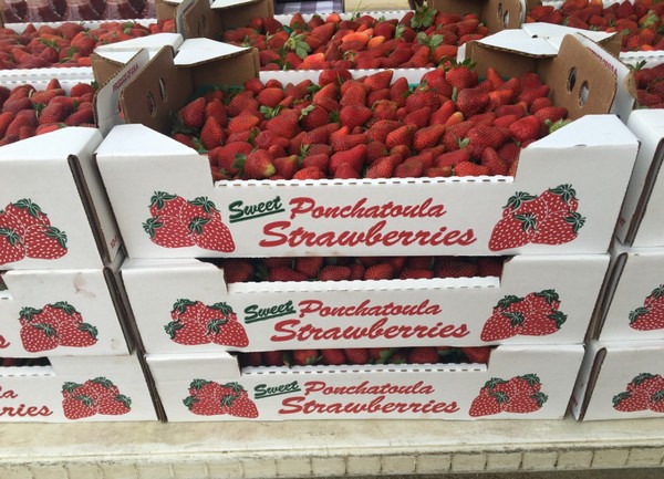 Fresas frescas de La Chatelaine Farms por libra